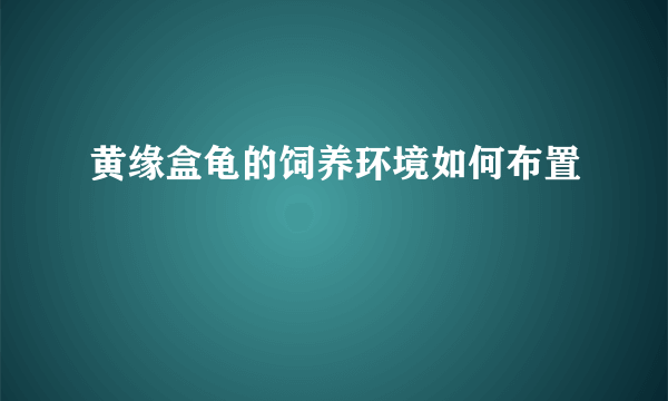 黄缘盒龟的饲养环境如何布置