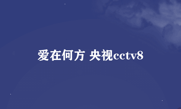 爱在何方 央视cctv8