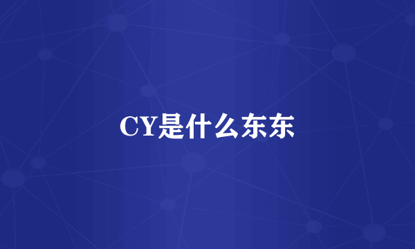 CY是什么东东