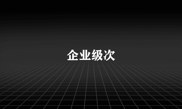 企业级次