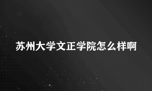 苏州大学文正学院怎么样啊