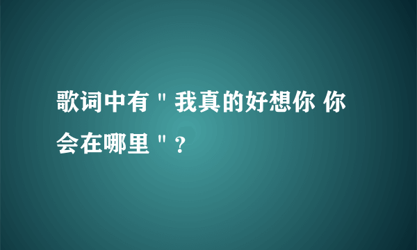 歌词中有＂我真的好想你 你会在哪里＂？