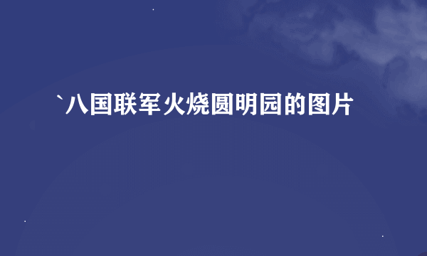 `八国联军火烧圆明园的图片