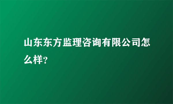 山东东方监理咨询有限公司怎么样？