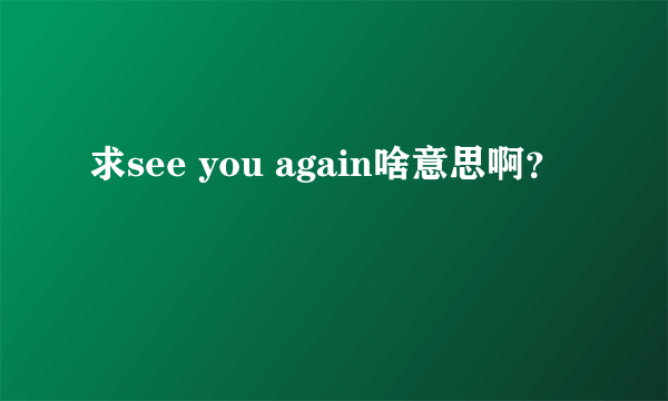 求see you again啥意思啊？