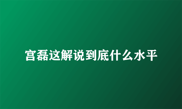 宫磊这解说到底什么水平