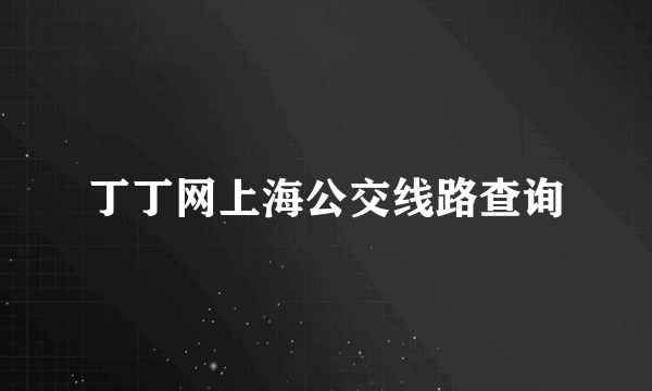 丁丁网上海公交线路查询