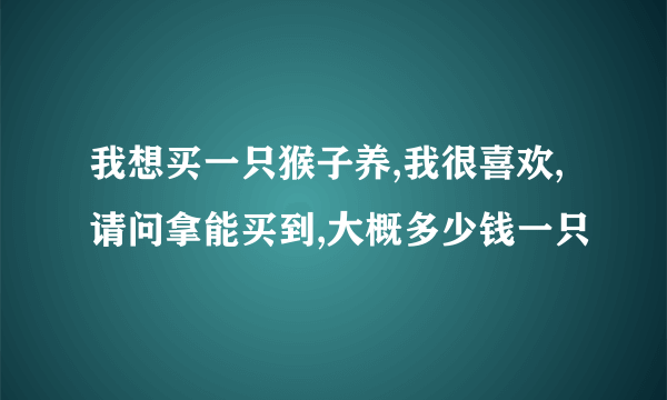 我想买一只猴子养,我很喜欢,请问拿能买到,大概多少钱一只