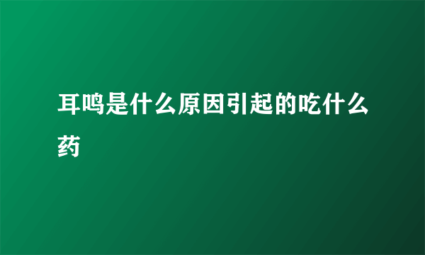 耳鸣是什么原因引起的吃什么药