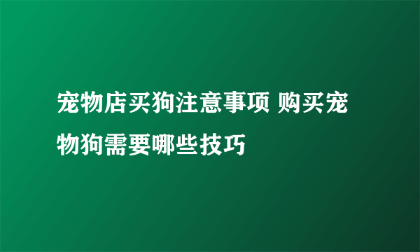 宠物店买狗注意事项 购买宠物狗需要哪些技巧