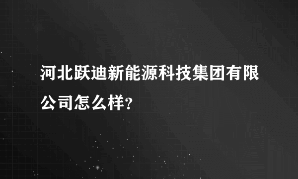 河北跃迪新能源科技集团有限公司怎么样？