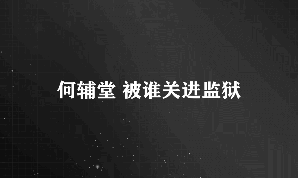 何辅堂 被谁关进监狱