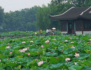 请问杭州市内主要有哪些旅游景点啊？