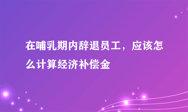 在哺乳期内辞退员工，应该怎么计算经济补偿金