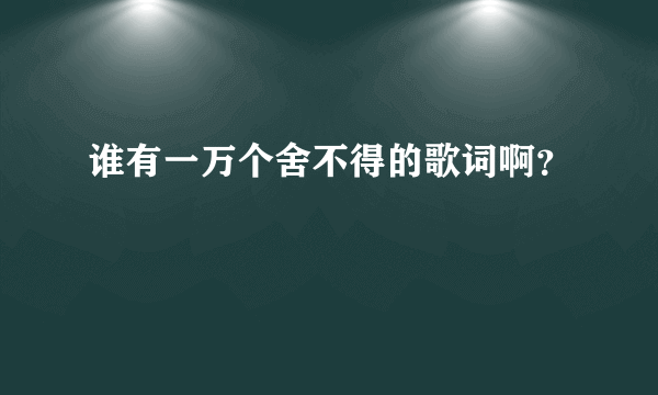 谁有一万个舍不得的歌词啊？