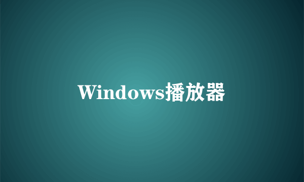 Windows播放器