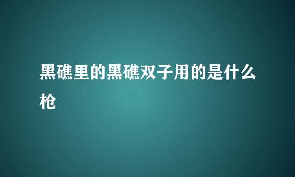 黑礁里的黑礁双子用的是什么枪