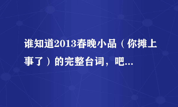 谁知道2013春晚小品（你摊上事了）的完整台词，吧那个大婶的台词也加上