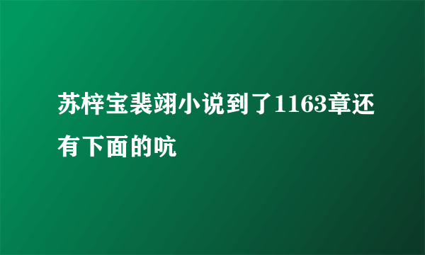 苏梓宝裴翊小说到了1163章还有下面的吭