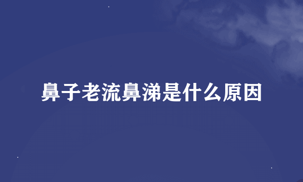 鼻子老流鼻涕是什么原因