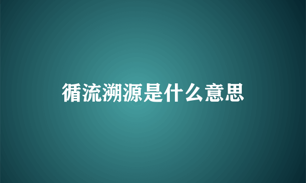 循流溯源是什么意思