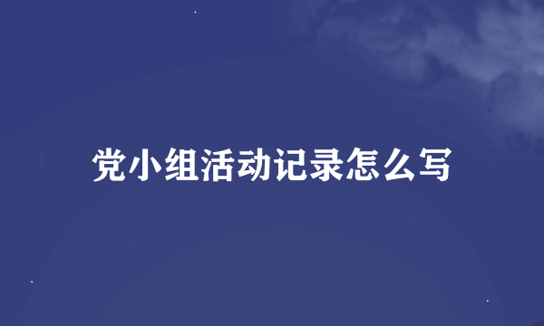 党小组活动记录怎么写