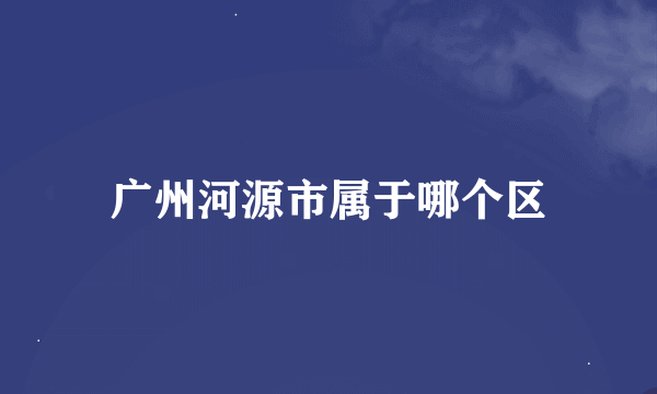 广州河源市属于哪个区