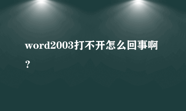 word2003打不开怎么回事啊？