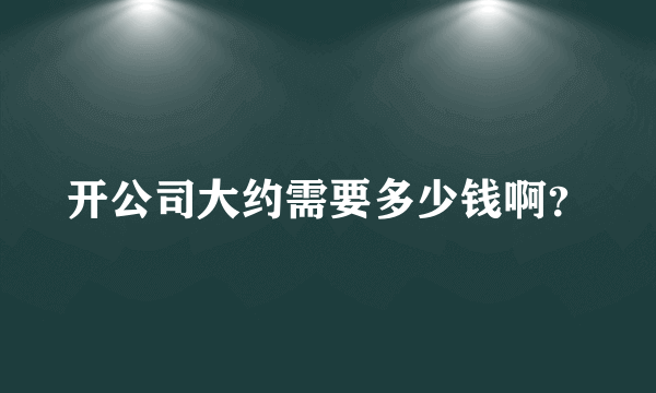 开公司大约需要多少钱啊？