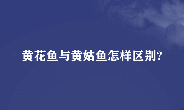 黄花鱼与黄姑鱼怎样区别?