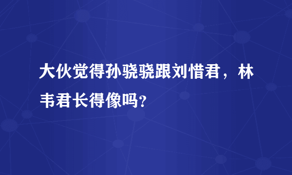 大伙觉得孙骁骁跟刘惜君，林韦君长得像吗？