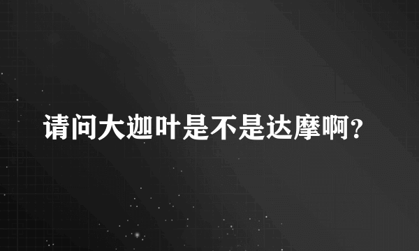 请问大迦叶是不是达摩啊？