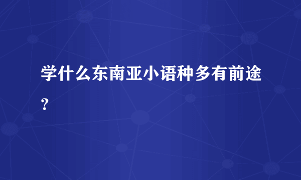 学什么东南亚小语种多有前途？