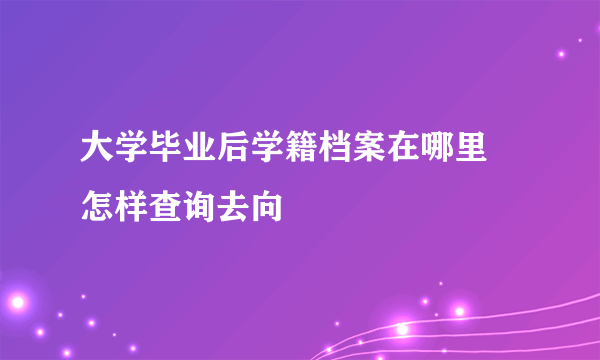 大学毕业后学籍档案在哪里 怎样查询去向