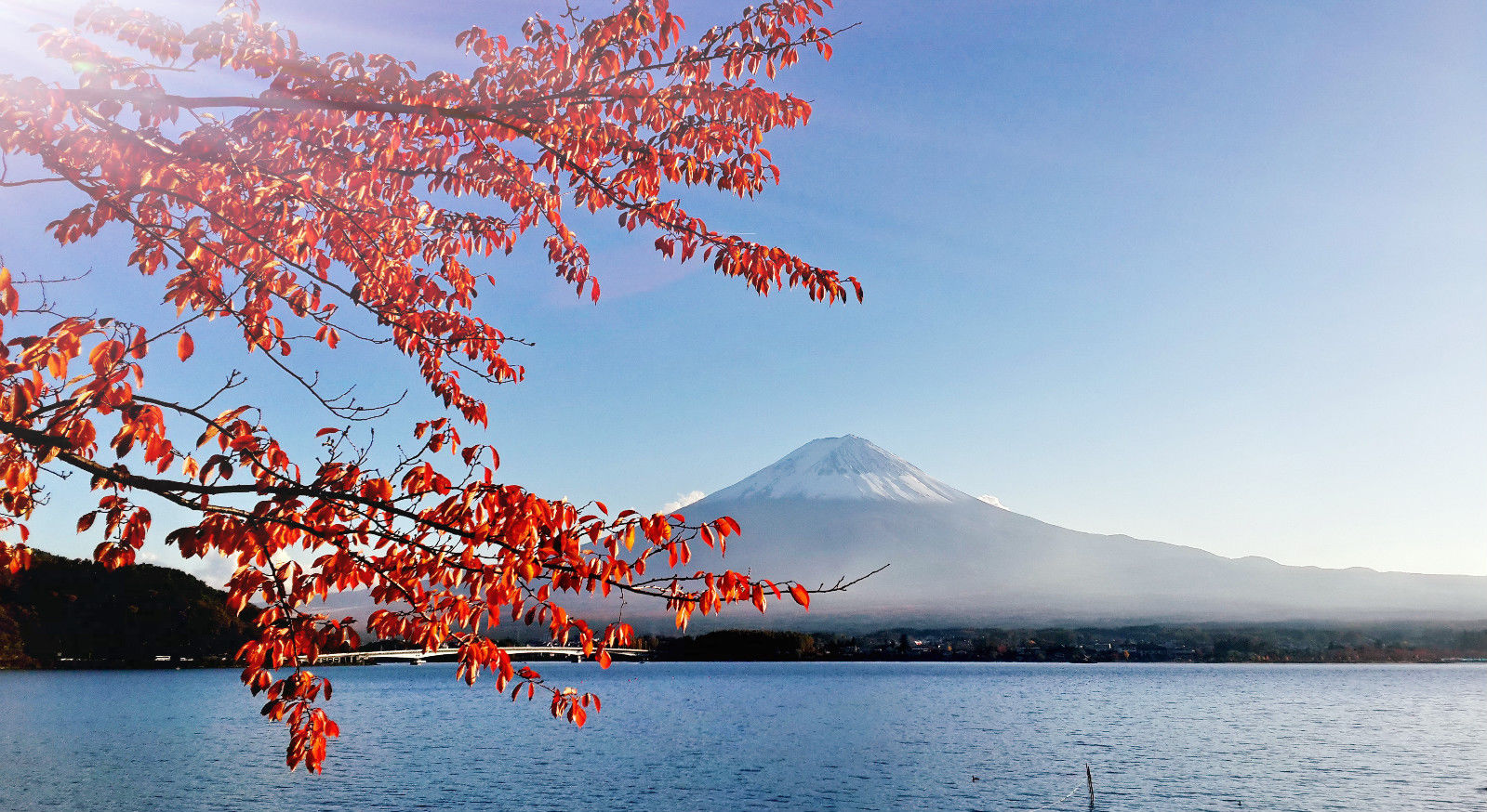 原来富士山是私人财产，你对富士山的了解有多少？