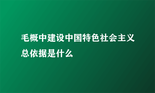 毛概中建设中国特色社会主义总依据是什么