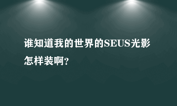 谁知道我的世界的SEUS光影怎样装啊？