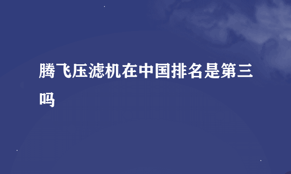 腾飞压滤机在中国排名是第三吗