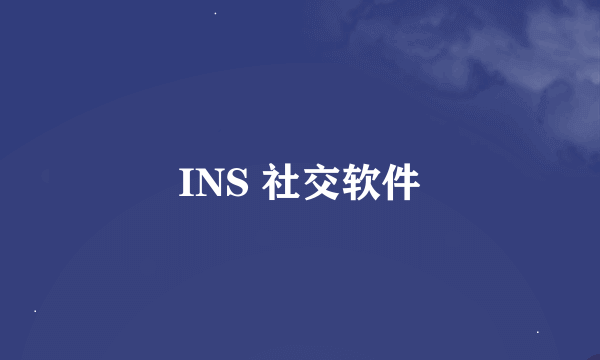 INS 社交软件