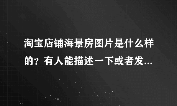 淘宝店铺海景房图片是什么样的？有人能描述一下或者发个样图吗？重谢100分