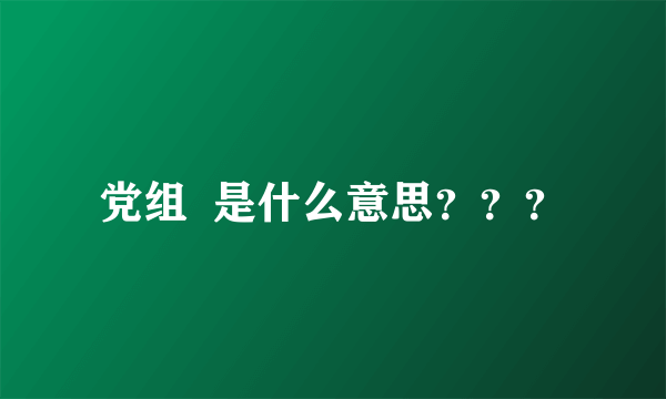 党组  是什么意思？？？