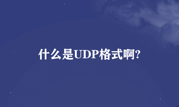 什么是UDP格式啊?