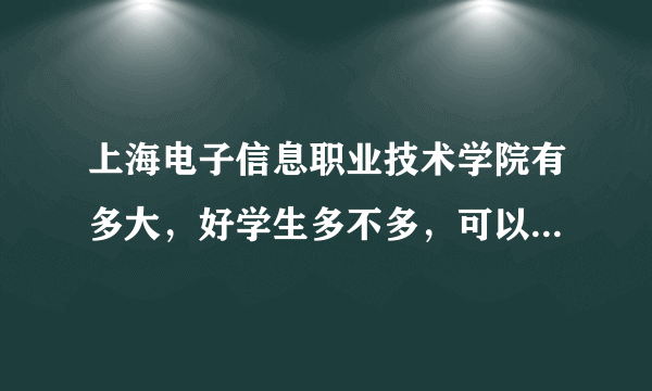 上海电子信息职业技术学院有多大，好学生多不多，可以专升本不？周围环境怎么样！