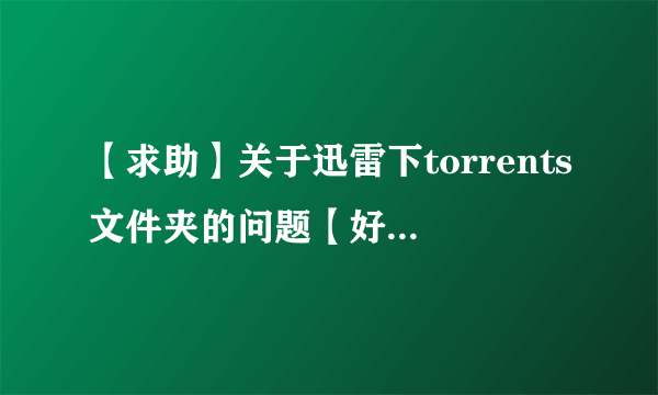 【求助】关于迅雷下torrents文件夹的问题【好的加分】