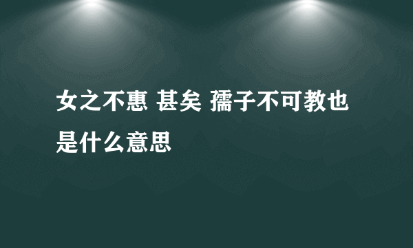 女之不惠 甚矣 孺子不可教也是什么意思