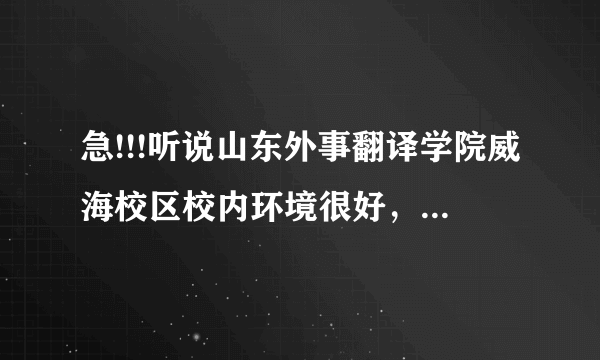 急!!!听说山东外事翻译学院威海校区校内环境很好，是真的吗？（学哥学姐进）