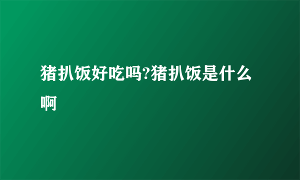 猪扒饭好吃吗?猪扒饭是什么啊