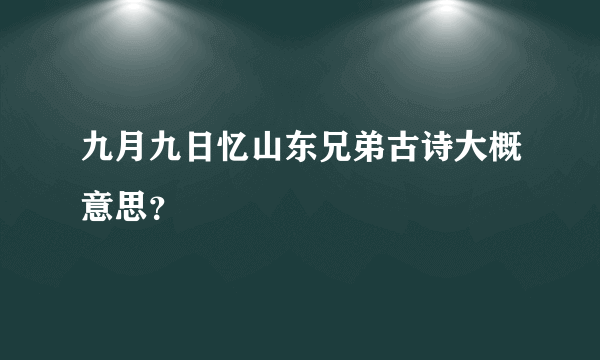 九月九日忆山东兄弟古诗大概意思？