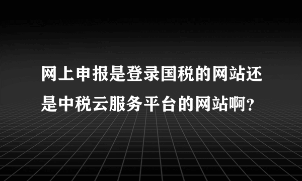 网上申报是登录国税的网站还是中税云服务平台的网站啊？