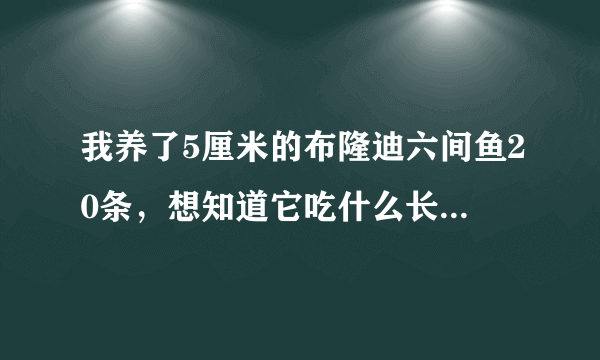 我养了5厘米的布隆迪六间鱼20条，想知道它吃什么长的最快？最快？最快？